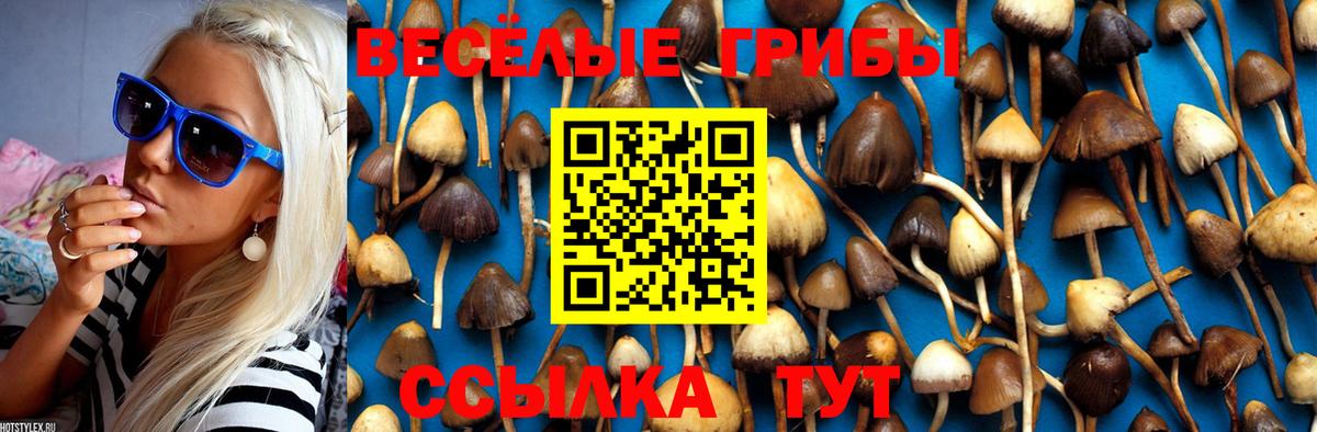 Галлюциногенные грибы Magic Shrooms  Вход с VPN  Бийск 