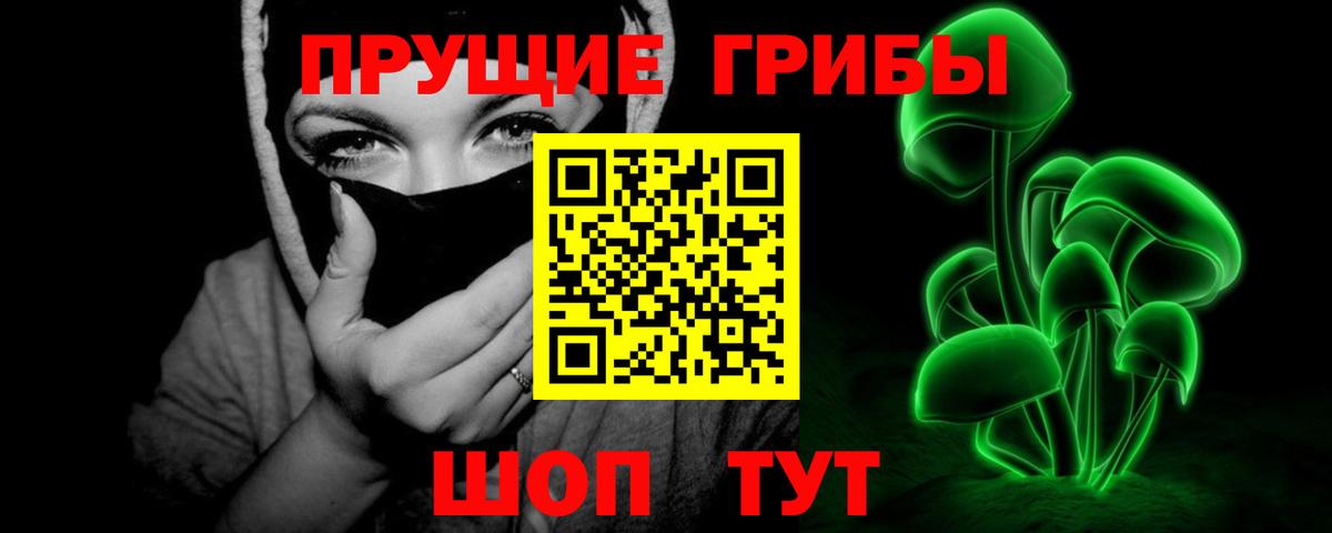 Псилоцибиновые грибы Psilocybe Бийск